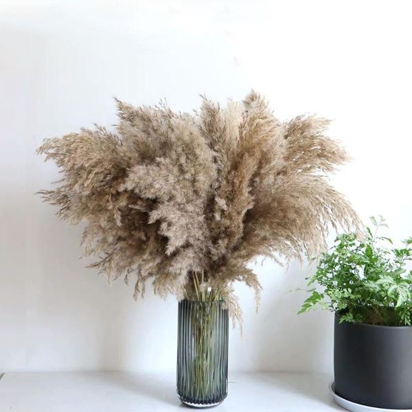 decorative flowers & wreaths 10pcs bulrush natural dried small pampas grass phragmites artificial plants wedding flower bunch home decor fak