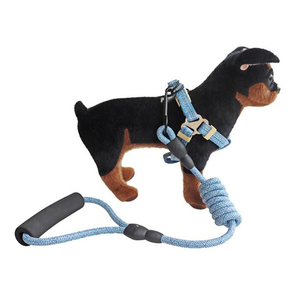 dog collars & leashes leash nylon pet for cat running or training collar and harness
dog collars & leashes leash nylon pet for cat running or training collar and harness