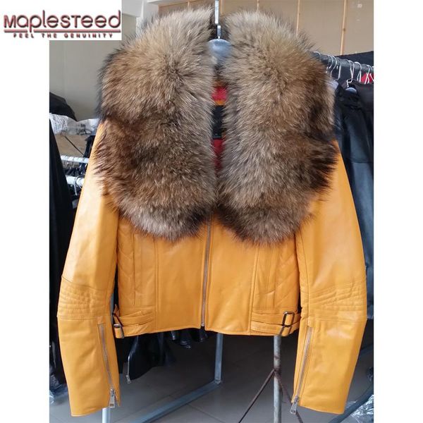 women's leather & faux maplesteed genuine sheepskin jacket women raccoon super large fur collar yellow black red slim coat winter m128
women's leather & faux maplesteed genuine sheepskin jacket women raccoon super large fur collar yellow black red slim coat winter m128