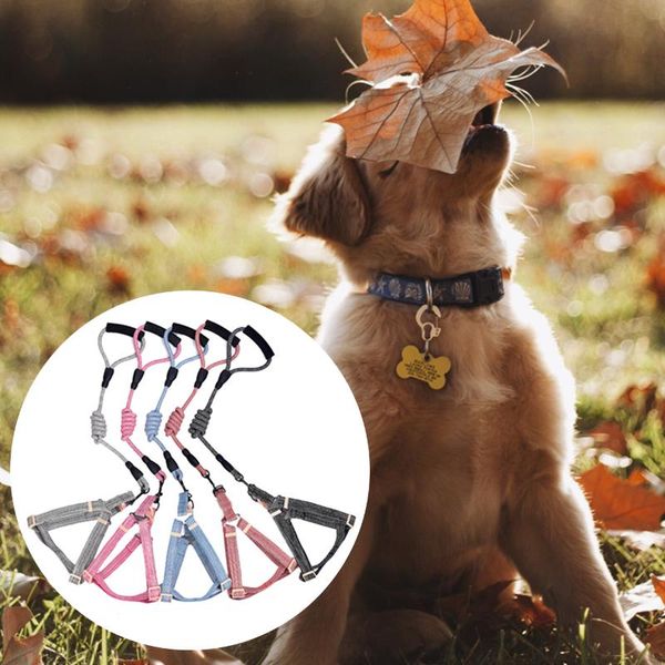 pet car seat belt adjustable dog traction buffer elastic safety rope outdoor pets leash collars & leashes
pet car seat belt adjustable dog traction buffer elastic safety rope outdoor pets leash collars & leashes