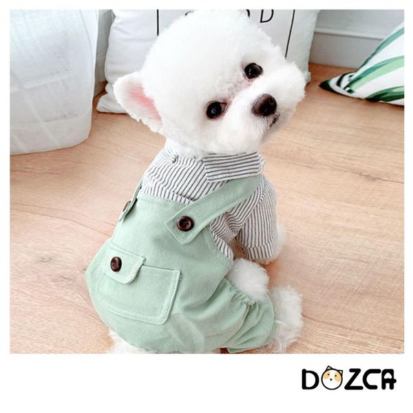 dog apparel cute dogs striped shirt 4-legs overalls two colors jumpsuit comfortable small cat clothes for spring summer pets supplier
dog apparel cute dogs striped shirt 4-legs overalls two colors jumpsuit comfortable small cat clothes for spring summer pets supplier
