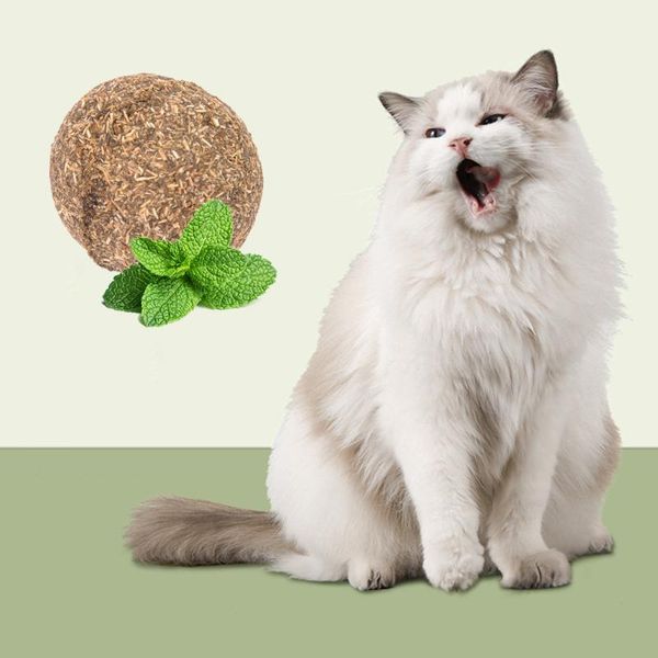 cat toys 2021 pure natural catnip balls, 3.2cm safe and edible chase toys, emotionally soothing hair cleaning pets supplies
cat toys 2021 pure natural catnip balls, 3.2cm safe and edible chase toys, emotionally soothing hair cleaning pets supplies