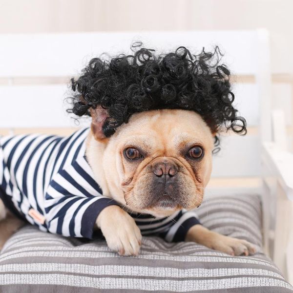 cat costumes cute creative pet hair cosplay props dog cross-dressing christmas halloween headdress funny party clothing
cat costumes cute creative pet hair cosplay props dog cross-dressing christmas halloween headdress funny party clothing