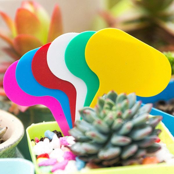 other garden supplies cute 100pcs plastic plant marker t label type nursery pot planter vegetable tag 2021
other garden supplies cute 100pcs plastic plant marker t label type nursery pot planter vegetable tag 2021