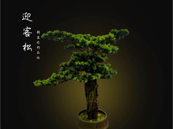 decorative flowers & wreaths simulation chinese style cliff building bonsai furnishing articles porch ark el landscape home decor wood craft
decorative flowers & wreaths simulation chinese style cliff building bonsai furnishing articles porch ark el landscape home decor wood craft
