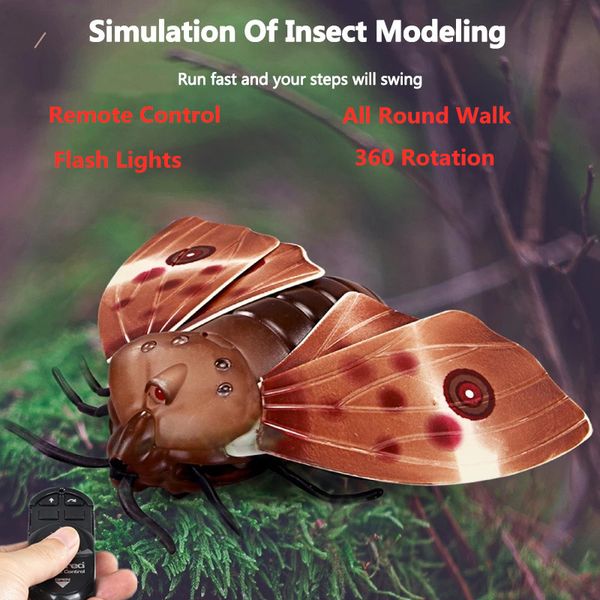 lighting rc moths simulative unicorn insects animal robot toy with wings walking flash cute magic ant prank joke for kid pet toy
lighting rc moths simulative unicorn insects animal robot toy with wings walking flash cute magic ant prank joke for kid pet toy