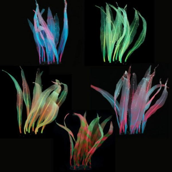 decorations aquarium landscaping jewelry silicone simulation soft coral kelp fish tank ornament supplies
decorations aquarium landscaping jewelry silicone simulation soft coral kelp fish tank ornament supplies