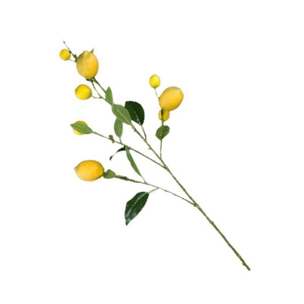 decorative flowers & wreaths artificial branches fake simulation tree plants for flower arrangement home garden decoration
decorative flowers & wreaths artificial branches fake simulation tree plants for flower arrangement home garden decoration
