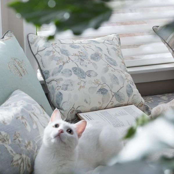 cushion/decorative pillow 45x30/45x45/55x55cm apricot pillowcase cushion cover blue pomegranate floral pattern
cushion/decorative pillow 45x30/45x45/55x55cm apricot pillowcase cushion cover blue pomegranate floral pattern