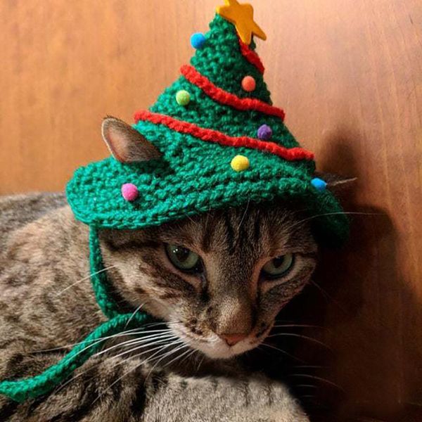 dog apparel kawaii pet cat hat winter caps christmas warm puppy wool cap party wear festival knit funny supplies#j7
dog apparel kawaii pet cat hat winter caps christmas warm puppy wool cap party wear festival knit funny supplies#j7