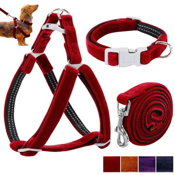 dog collars & leashes adjustable collar harness leash set reflective soft puppy vest nylon pet for small medium dogs chihuahua
dog collars & leashes adjustable collar harness leash set reflective soft puppy vest nylon pet for small medium dogs chihuahua