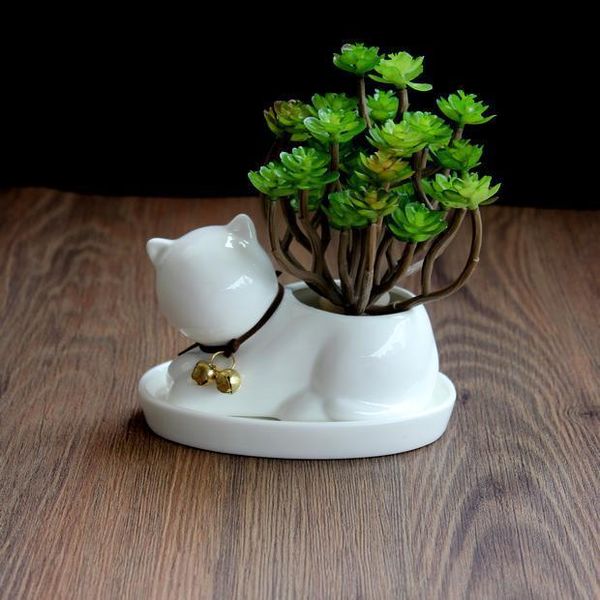 ceramic small cat flower pot white horse flowerpot planter succulents plant deskgarden glazed pots for flowers planters &
ceramic small cat flower pot white horse flowerpot planter succulents plant deskgarden glazed pots for flowers planters &