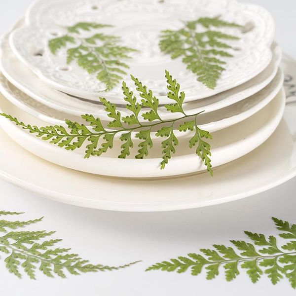 decorative flowers & wreaths 24pcs/pack dried leaf natural lace fern diy epoxy crafts student handcraft foliage specimens embossing phone ca
decorative flowers & wreaths 24pcs/pack dried leaf natural lace fern diy epoxy crafts student handcraft foliage specimens embossing phone ca