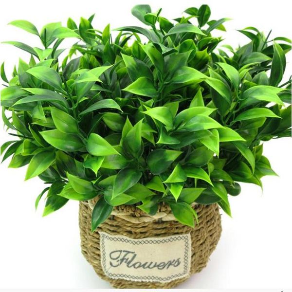 decorative flowers & wreaths 7 branches green artificial plants for garden bushes fake grass eucalyptus orange leaves faux plant home shop d
decorative flowers & wreaths 7 branches green artificial plants for garden bushes fake grass eucalyptus orange leaves faux plant home shop d