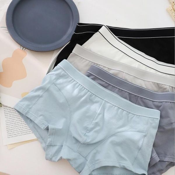 underpants 2021 5pcs/lot boxer shorts man men's panties men underwear cotton, Black;white
underpants 2021 5pcs/lot boxer shorts man men's panties men underwear cotton, Black;white