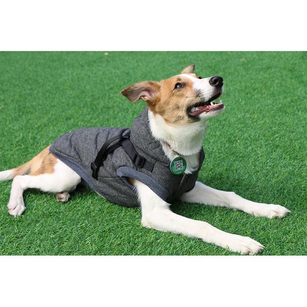dog apparel 2021 harness winter pet warm clothes plus velvet thickening soft and breathable adjustable buckle jacket small medium
dog apparel 2021 harness winter pet warm clothes plus velvet thickening soft and breathable adjustable buckle jacket small medium