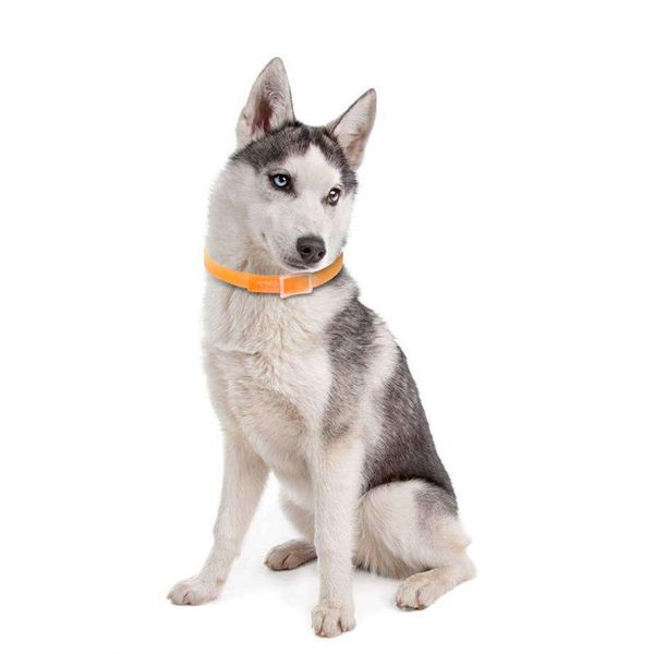 dog collars & leashes pet cat waterproof design flea collar health against lice pest mosquitoes small medium large animals accessories
dog collars & leashes pet cat waterproof design flea collar health against lice pest mosquitoes small medium large animals accessories