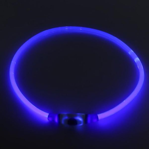 dog collars & leashes led collar leash harnesses pet rechargeable luminous lighting with usb charging cable accessory
dog collars & leashes led collar leash harnesses pet rechargeable luminous lighting with usb charging cable accessory