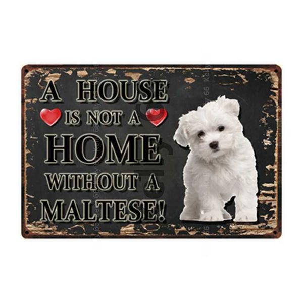 pets dogs rules life is better with a maltese briard metal sign home decor bar wall art painting 20*30 cm size dg-46
pets dogs rules life is better with a maltese briard metal sign home decor bar wall art painting 20*30 cm size dg-46