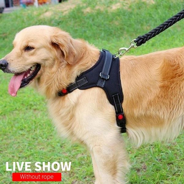 dog collars & leashes s, m, l tow rope pet chest strap leash walk head tactics training outdoor retractable automatic extendable
dog collars & leashes s, m, l tow rope pet chest strap leash walk head tactics training outdoor retractable automatic extendable