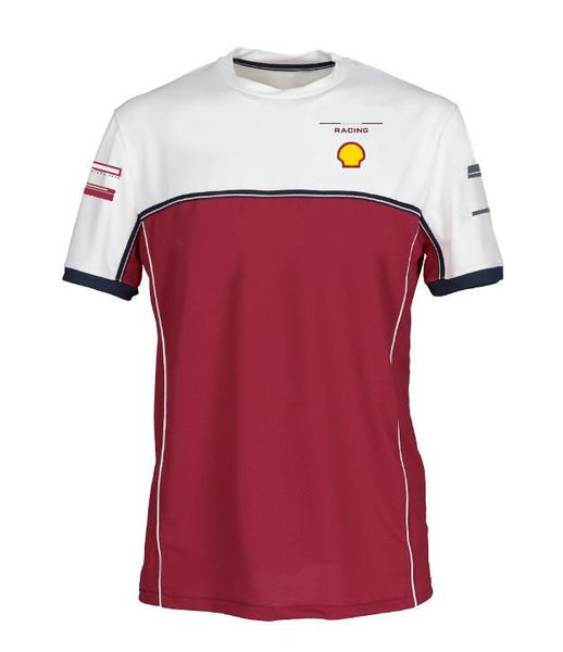 f1 racing t-shirt, 2021 team short-sleeved shirt, polyester quick-drying, the same style customized
f1 racing t-shirt, 2021 team short-sleeved shirt, polyester quick-drying, the same style customized