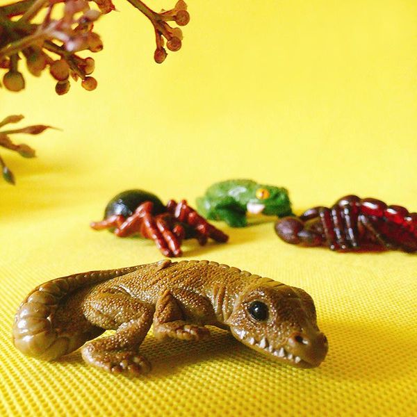 prehistoric animals scorpion insect toad/miniatures/fairy garden gnome/moss terrarium decor/bonsai/doll house/figurine/model/toy decorative
prehistoric animals scorpion insect toad/miniatures/fairy garden gnome/moss terrarium decor/bonsai/doll house/figurine/model/toy decorative