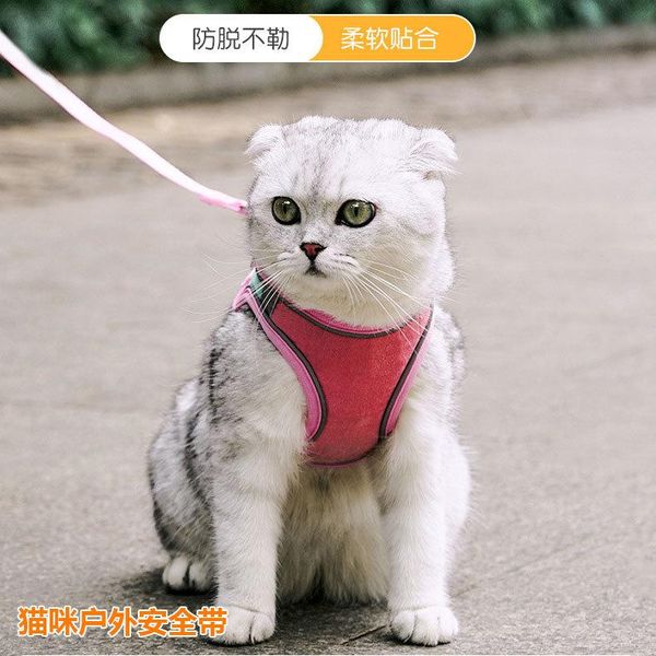 cat collars & leads chest strap vest reflective anti-break rope breathable pet wholesale kitten collar
cat collars & leads chest strap vest reflective anti-break rope breathable pet wholesale kitten collar