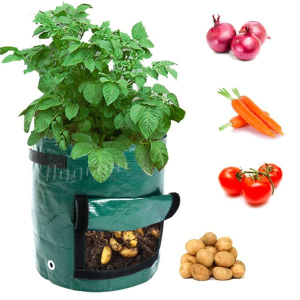 planters & pots 3 size plant grow bags home garden potato pot greenhouse vegetable growing moisturizing jardin vertical bag seedling
planters & pots 3 size plant grow bags home garden potato pot greenhouse vegetable growing moisturizing jardin vertical bag seedling