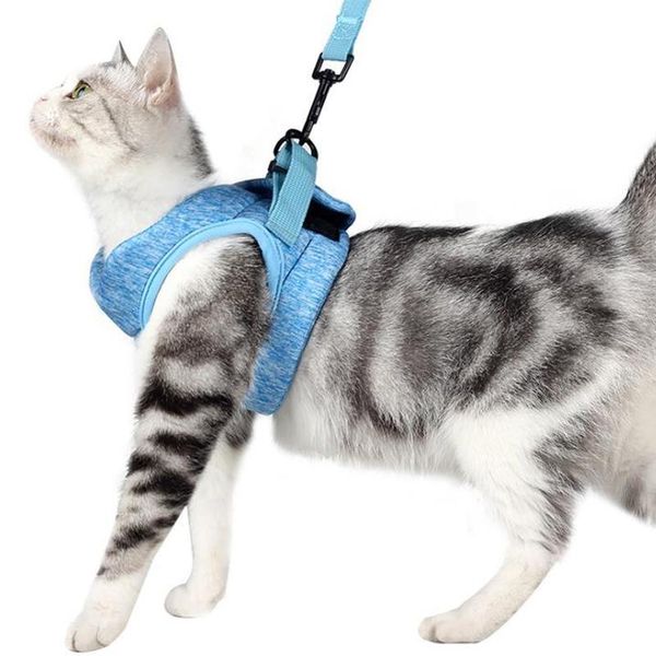 lightness cat harnesses out walking leashes leads solid vest suit for cats puppy dogs pet travel straps traction belt collars &
lightness cat harnesses out walking leashes leads solid vest suit for cats puppy dogs pet travel straps traction belt collars &
