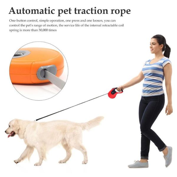 pet dog leash for small medium dogs retractable automatic flexible puppy cat traction rope belt walking collars & leashes
pet dog leash for small medium dogs retractable automatic flexible puppy cat traction rope belt walking collars & leashes