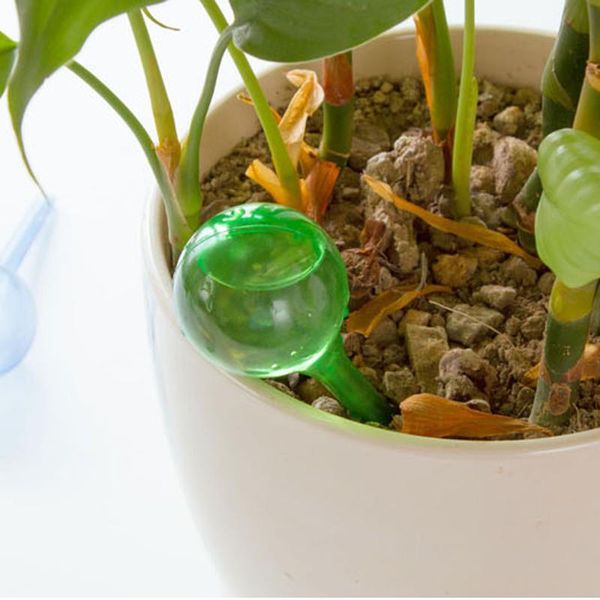 flower automatic watering device houseplant plant pot bulb globe garden house waterer water equipments
flower automatic watering device houseplant plant pot bulb globe garden house waterer water equipments