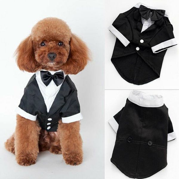 dog apparel cute pet cat clothing bow prince wedding suit tuxedo tie puppy clothes coat
dog apparel cute pet cat clothing bow prince wedding suit tuxedo tie puppy clothes coat