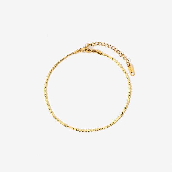 anklets unique thin s shape chain for women gold plated stainless steel stacking anklet foot jewelry, Red;blue
anklets unique thin s shape chain for women gold plated stainless steel stacking anklet foot jewelry, Red;blue