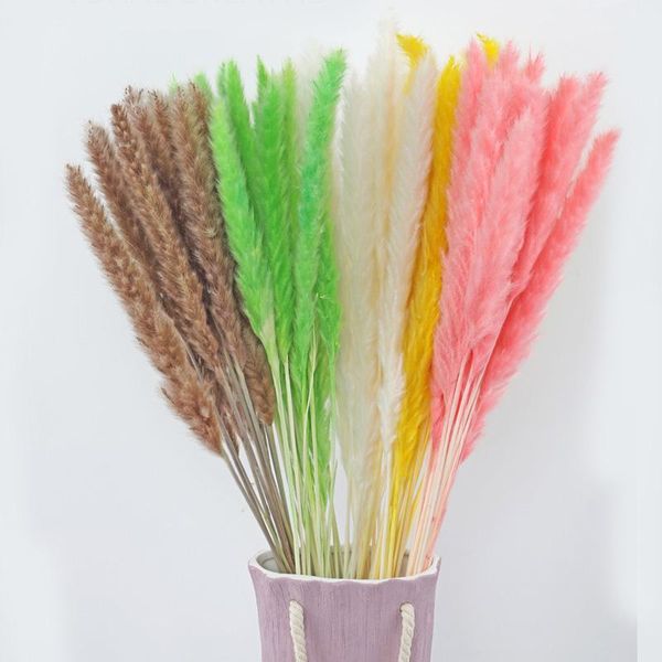 decorative flowers & wreaths 15pc/bunch bulrush natural dried pampas grass phragmites flower diy arrangement home wedding decorations po pro
decorative flowers & wreaths 15pc/bunch bulrush natural dried pampas grass phragmites flower diy arrangement home wedding decorations po pro