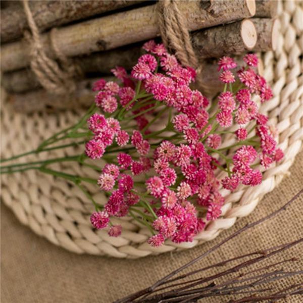 decorative flowers & wreaths 1 bunch gypsophila simulation bridal wedding decoration hand bouquet pu artificial flower style feel pography p
decorative flowers & wreaths 1 bunch gypsophila simulation bridal wedding decoration hand bouquet pu artificial flower style feel pography p