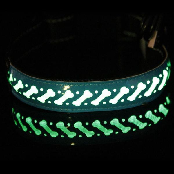 dog collars & leashes pet night safety led cat collar leads lights glowing pendant necklace luminous bright in dark
dog collars & leashes pet night safety led cat collar leads lights glowing pendant necklace luminous bright in dark