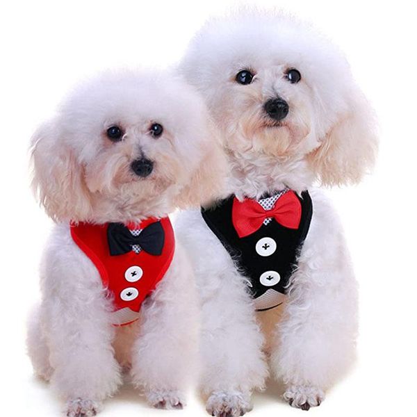 puppy cat pet dog harness vest fashion bowtie collar and leash set personalized kitten walk for collars & leashes
puppy cat pet dog harness vest fashion bowtie collar and leash set personalized kitten walk for collars & leashes