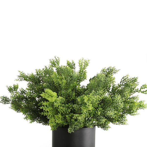 decorative flowers & wreaths 9 heads artificial aglaia odorata flower simulation plant indoor decor greenplant for deskhome wedding part
decorative flowers & wreaths 9 heads artificial aglaia odorata flower simulation plant indoor decor greenplant for deskhome wedding part