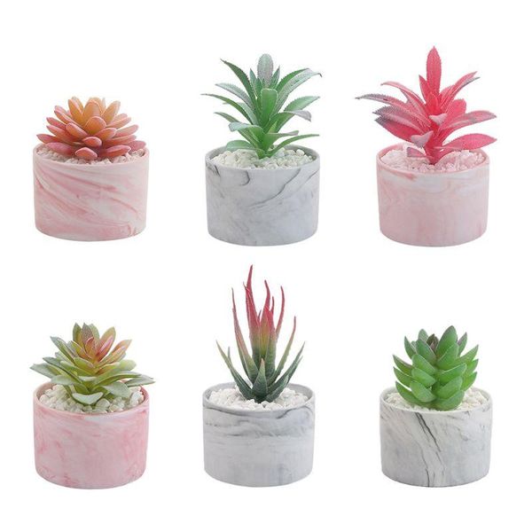 decorative flowers & wreaths artificial mini succulent plant with pot fake aloe pineapple leaf office home garden diy decoration
decorative flowers & wreaths artificial mini succulent plant with pot fake aloe pineapple leaf office home garden diy decoration