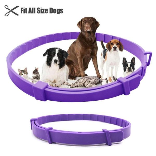 dog collars & leashes pet cat calming collar durable non-toxic safe adjustable comforting universal for small medium large
dog collars & leashes pet cat calming collar durable non-toxic safe adjustable comforting universal for small medium large