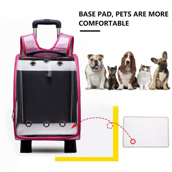 cat carriers,crates & houses pet transparent backpack dog outside bag portable carrier without drawbar
cat carriers,crates & houses pet transparent backpack dog outside bag portable carrier without drawbar