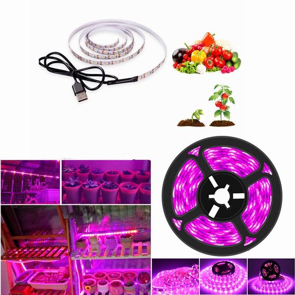 phytolamp for plant led grow light full spectrum usb strip 0.5m 1m 2m 3m dc5v 2835 phyto tape seed plants lights
phytolamp for plant led grow light full spectrum usb strip 0.5m 1m 2m 3m dc5v 2835 phyto tape seed plants lights