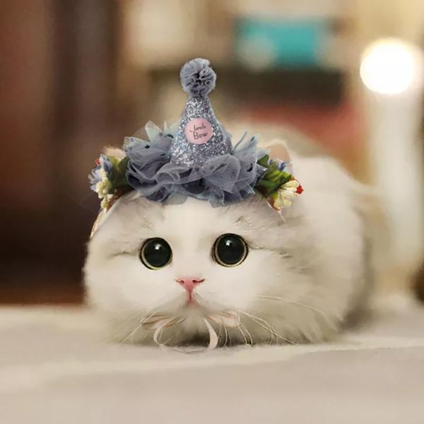 cat costumes pet dress up lace head accessories headband flower hat headdress costume for kitten
cat costumes pet dress up lace head accessories headband flower hat headdress costume for kitten