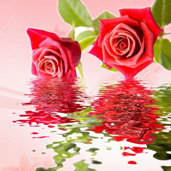 wallpapers po wallpaper 3d stereo custom mural wedding room bedroom living tv backdrop
wallpapers po wallpaper 3d stereo custom mural wedding room bedroom living tv backdrop