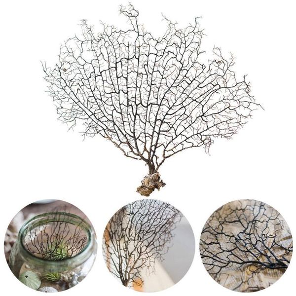 15-25cm natural sea red willow brown iron tree coral branch home fish tank aquarium landscape crafts decoration plants snail decorations
15-25cm natural sea red willow brown iron tree coral branch home fish tank aquarium landscape crafts decoration plants snail decorations