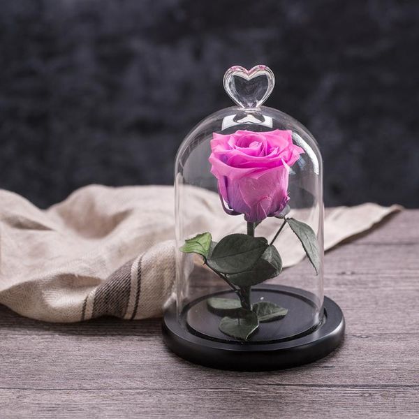decorative flowers & wreaths little prince rose valentine's day flower gift to girlfriend mother's glass dome bell jar at wedding
decorative flowers & wreaths little prince rose valentine's day flower gift to girlfriend mother's glass dome bell jar at wedding