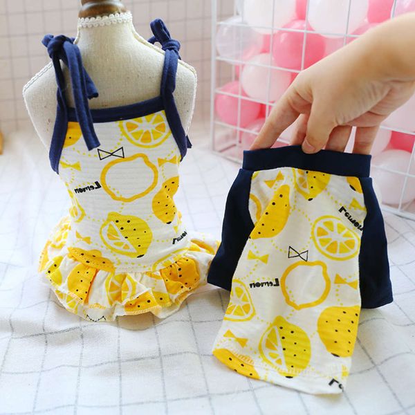 the dog clothes pet teddy bear small dog spring and summer two foot lemon vest dress
the dog clothes pet teddy bear small dog spring and summer two foot lemon vest dress