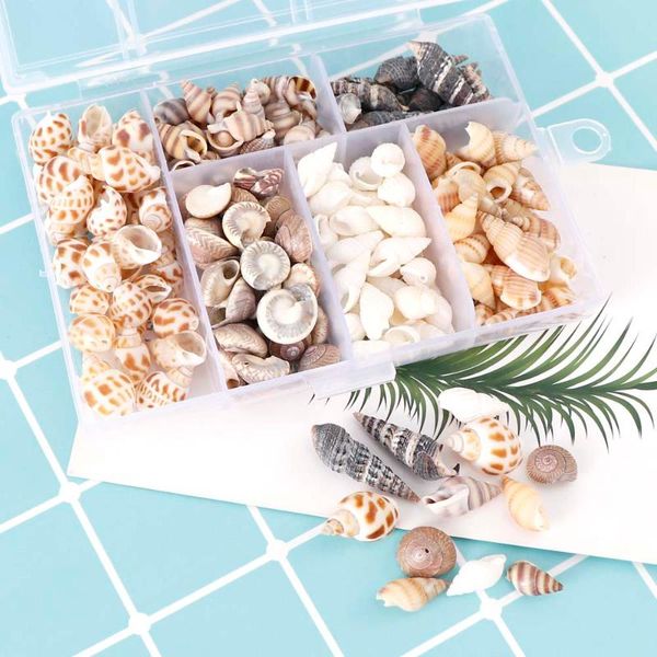 novelty items about 100pcs/box natural conch shells mini corn screw wall decoration diy aquarium landscape seashells crafts/party decor
novelty items about 100pcs/box natural conch shells mini corn screw wall decoration diy aquarium landscape seashells crafts/party decor