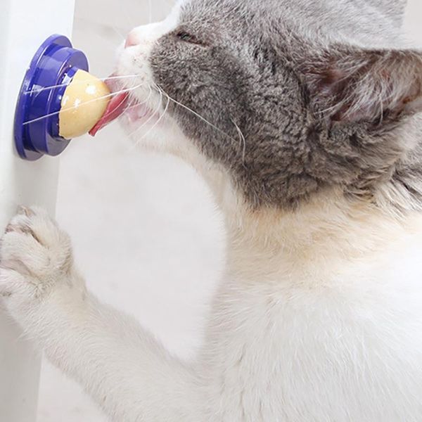 cat toys healthy catnip sugar cats licking candy nutrition energy ball for kitten playing pet products toy
cat toys healthy catnip sugar cats licking candy nutrition energy ball for kitten playing pet products toy