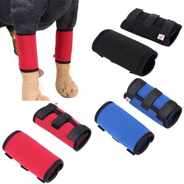 dog apparel one pair leg protection brace prevents injuries front compression wraps with protect wounds heals #s1
dog apparel one pair leg protection brace prevents injuries front compression wraps with protect wounds heals #s1